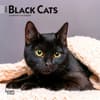 image Black Cats 2024 Mini Wall Calendar Main Product Image width=&quot;1000&quot; height=&quot;1000&quot;