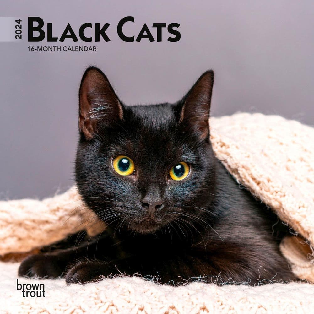 Black Cats 2024 Mini Wall Calendar Main Product Image width=&quot;1000&quot; height=&quot;1000&quot;
