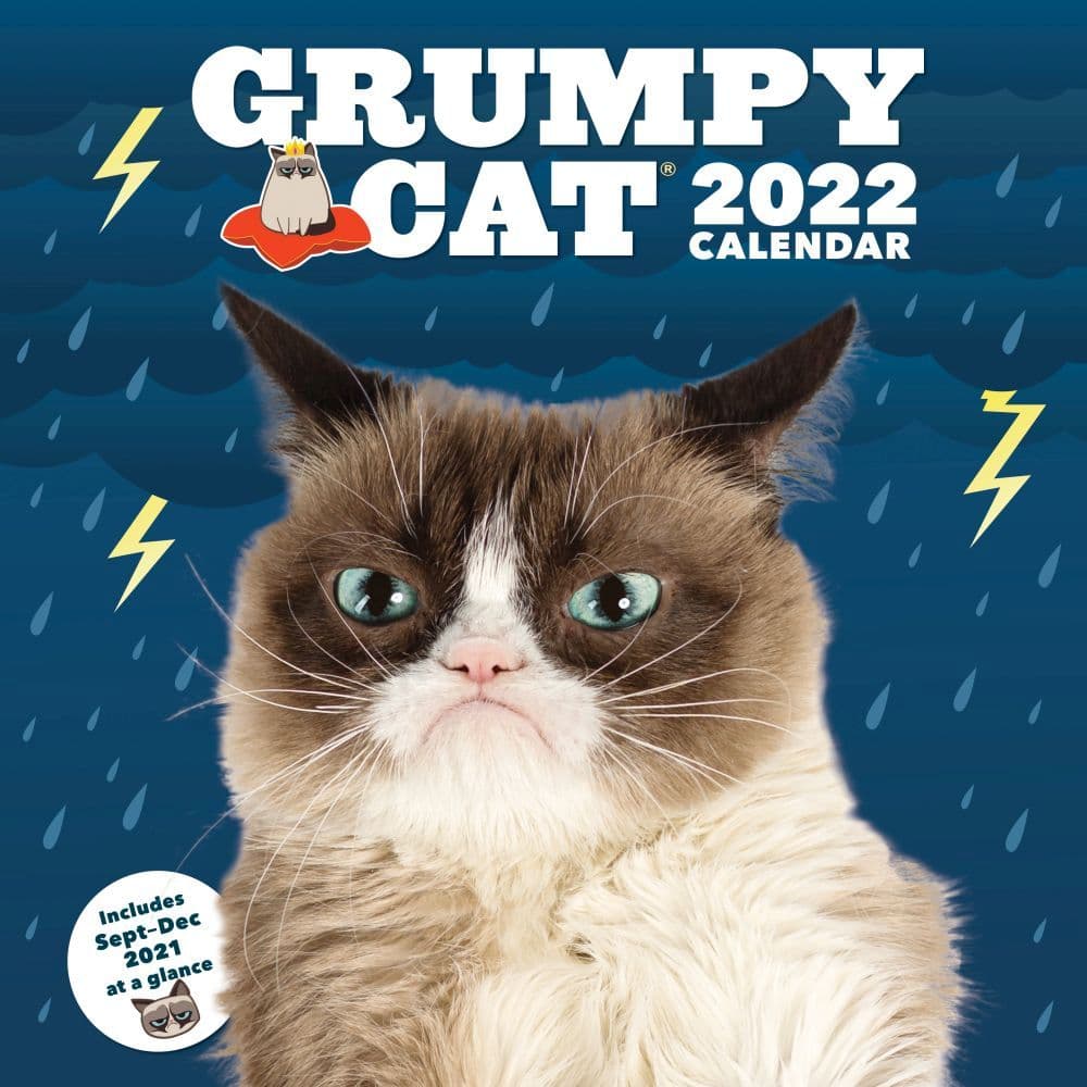 Grumpy Cat 2022 Wall Calendar | SheFinds