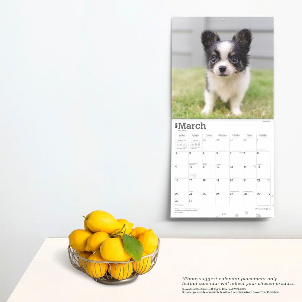 Chihuahua Puppies 2025 Wall Calendar Fourth Alternate Image width=&quot;1000&quot; height=&quot;1000&quot;