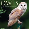 image Owls 2025 Wall Calendar  Main Image