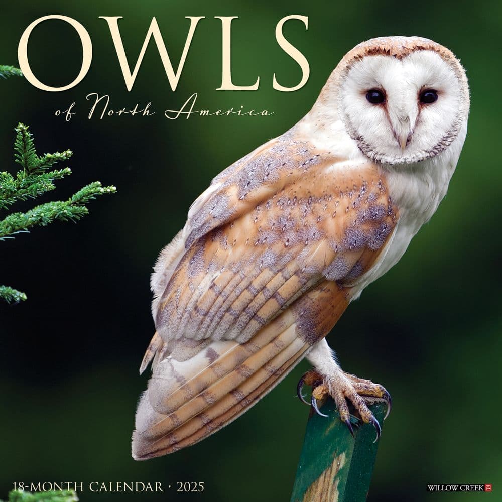 2025 Yearly Calendar Pretty Owls