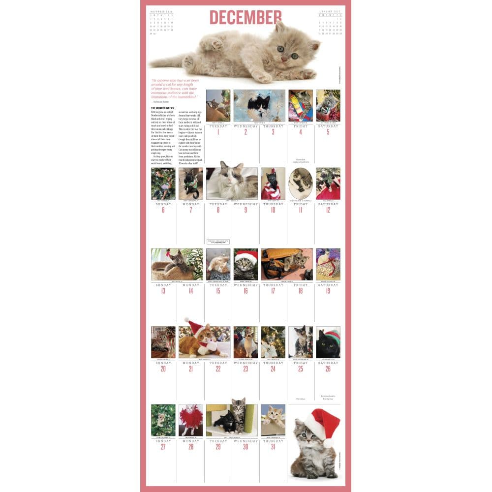 Kittens 365 Days 2026 Wall Calendar Fourth Alternate Image
