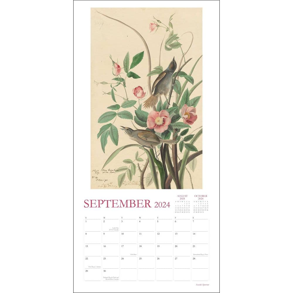 Audubons Watercolors 2024 Wall Calendar September