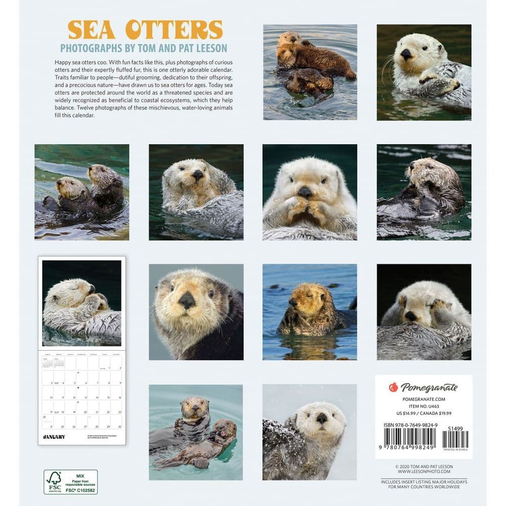 Sea Otters Wall Calendar