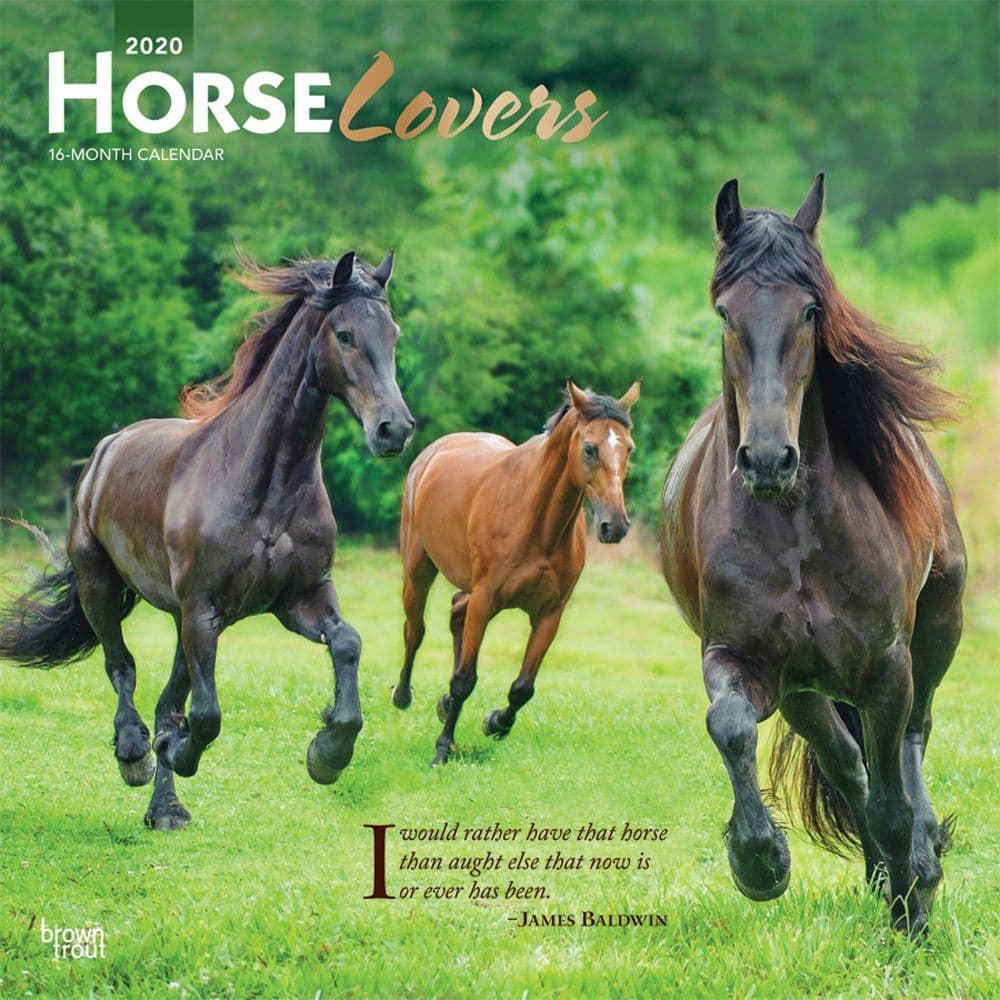 Horse Lovers Wall Calendar