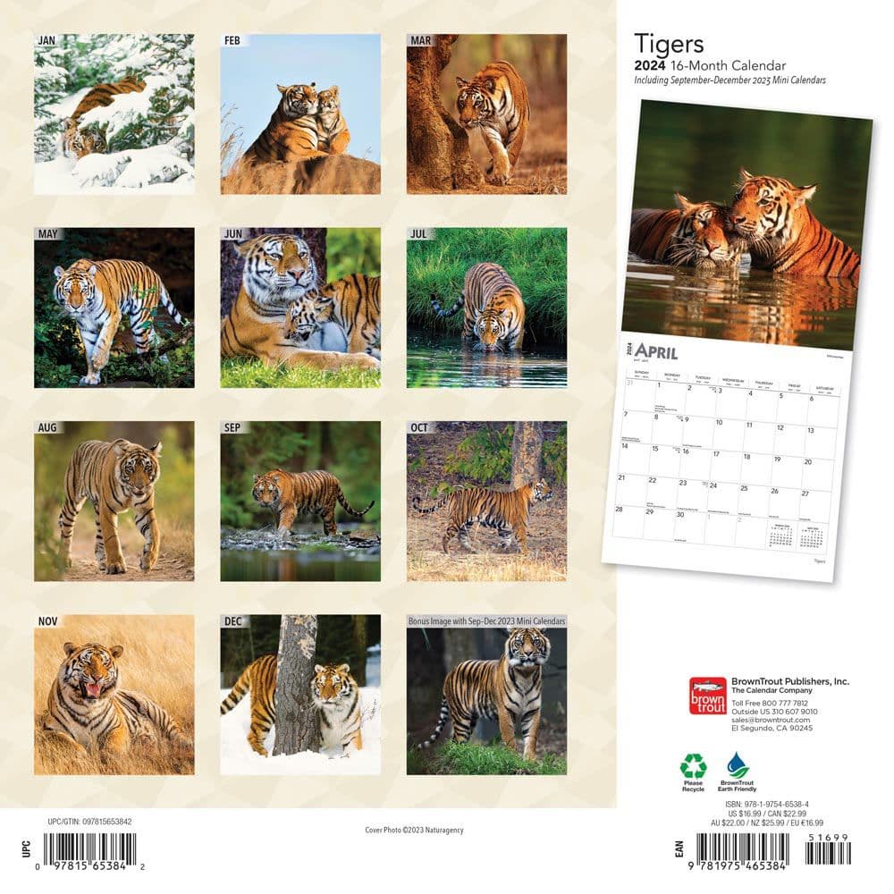 Tigers 2024 Wall Calendar