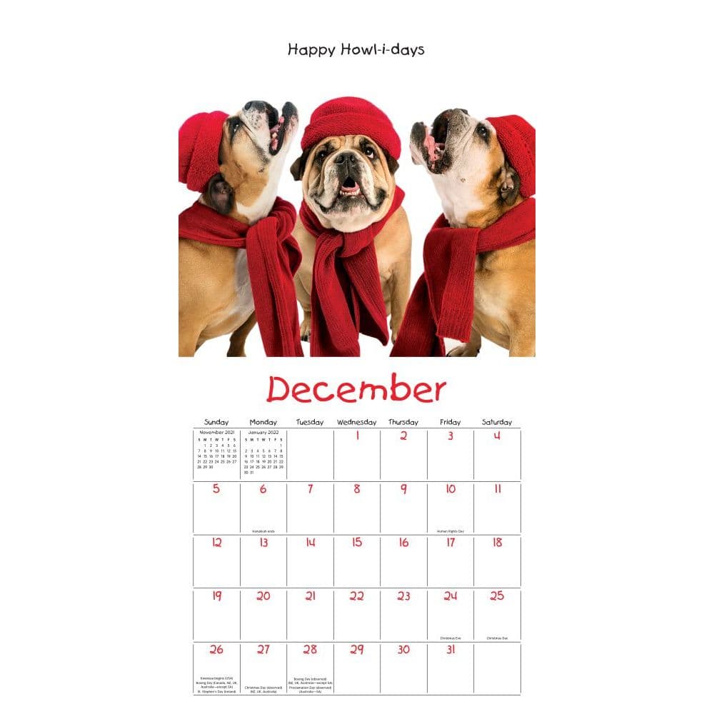 Zelda Wall Calendar - Calendars.com