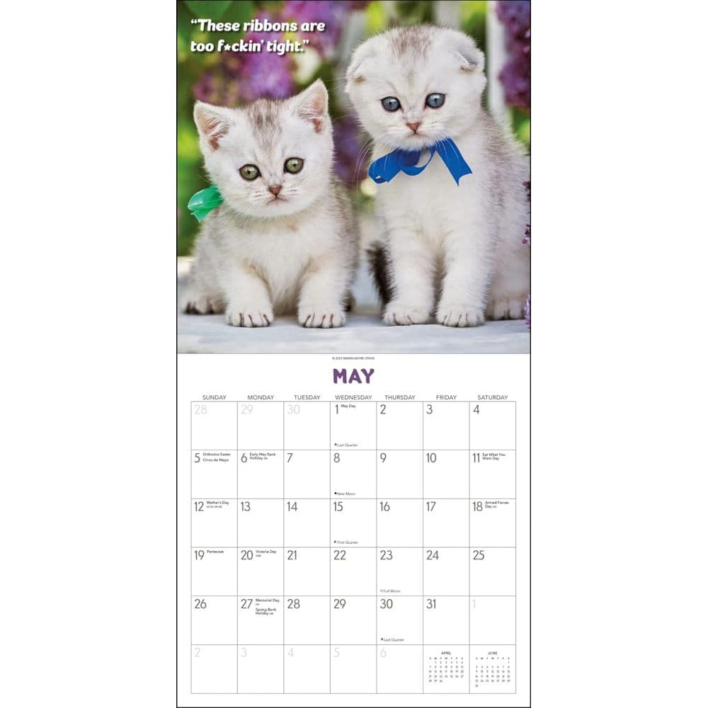What the F*ck Kitty? 2024 Wall Calendar Third Alternate Image width=&quot;1000&quot; height=&quot;1000&quot;