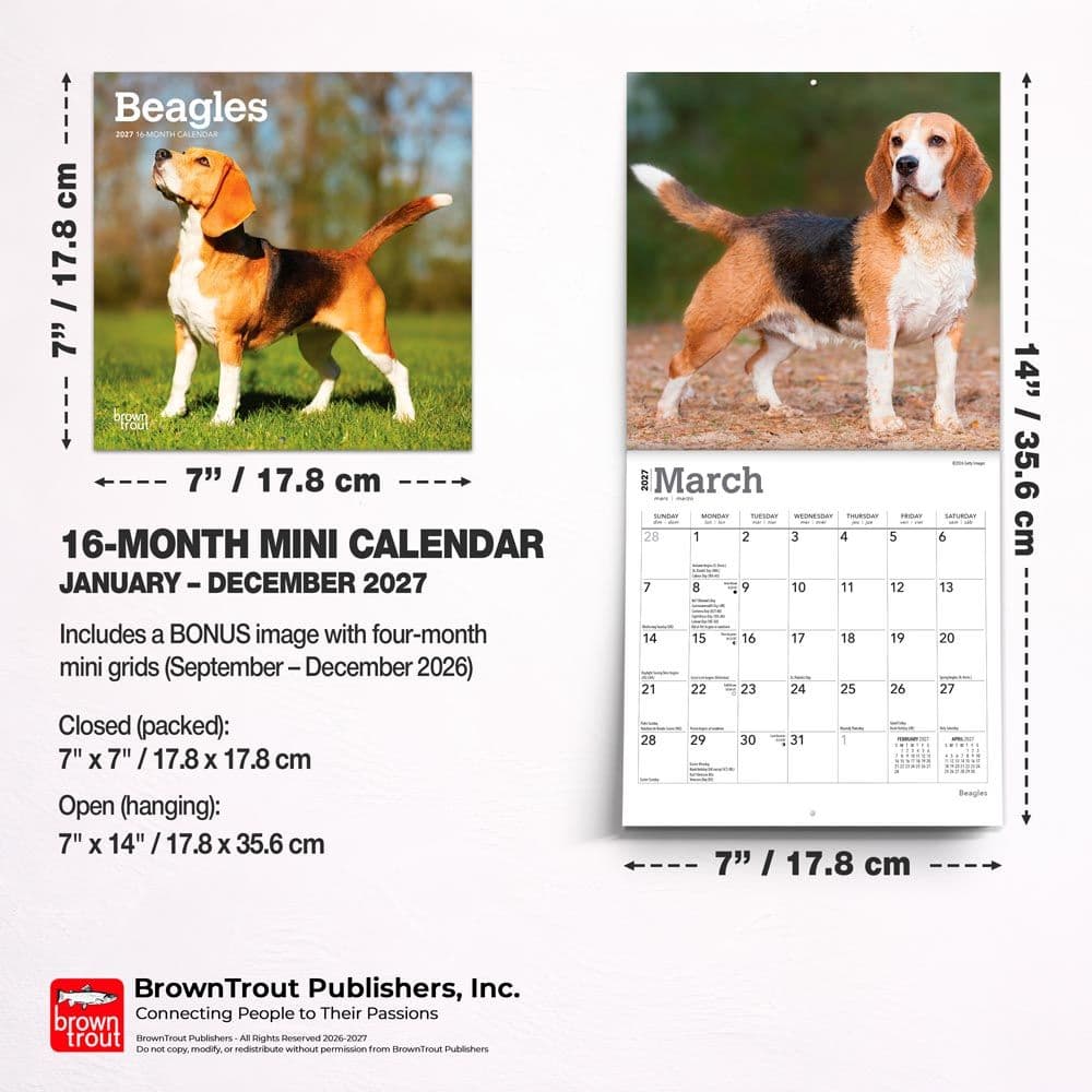 Beagle 2027 Mini Wall Calendar Sixth Alternate Image