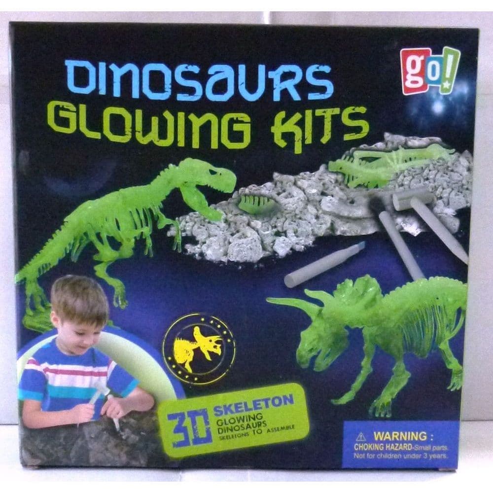 Glow Dinosaur Fossil Kit Main Image