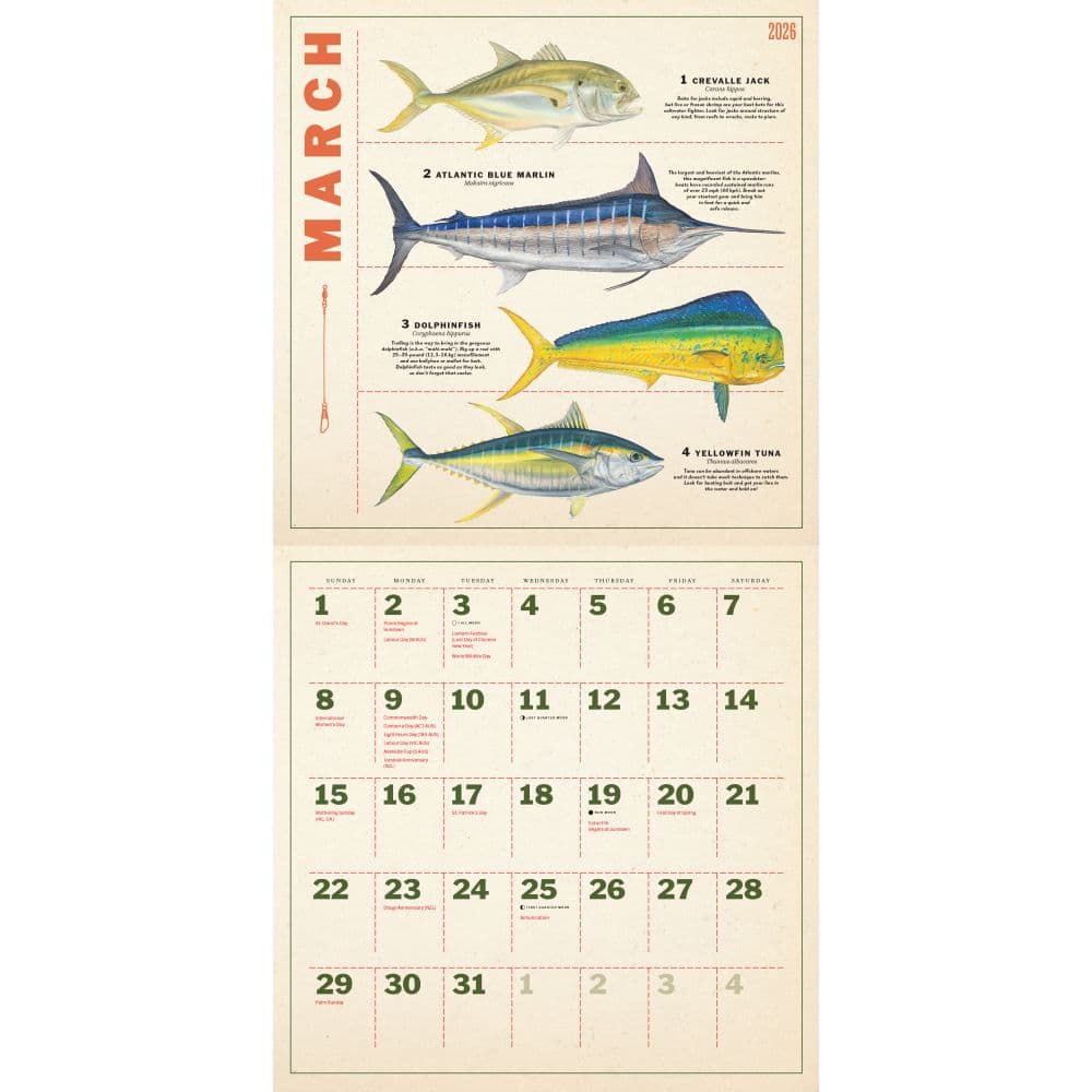 Fishing Illustrations 2026 Wall Calendar Second alternate image