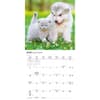 image Kittens and Puppies 2026 Mini Wall Calendar Third Alternate Image