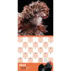 image Extraordinary-Chickens-2024-Wall-Calendar-Alt3
