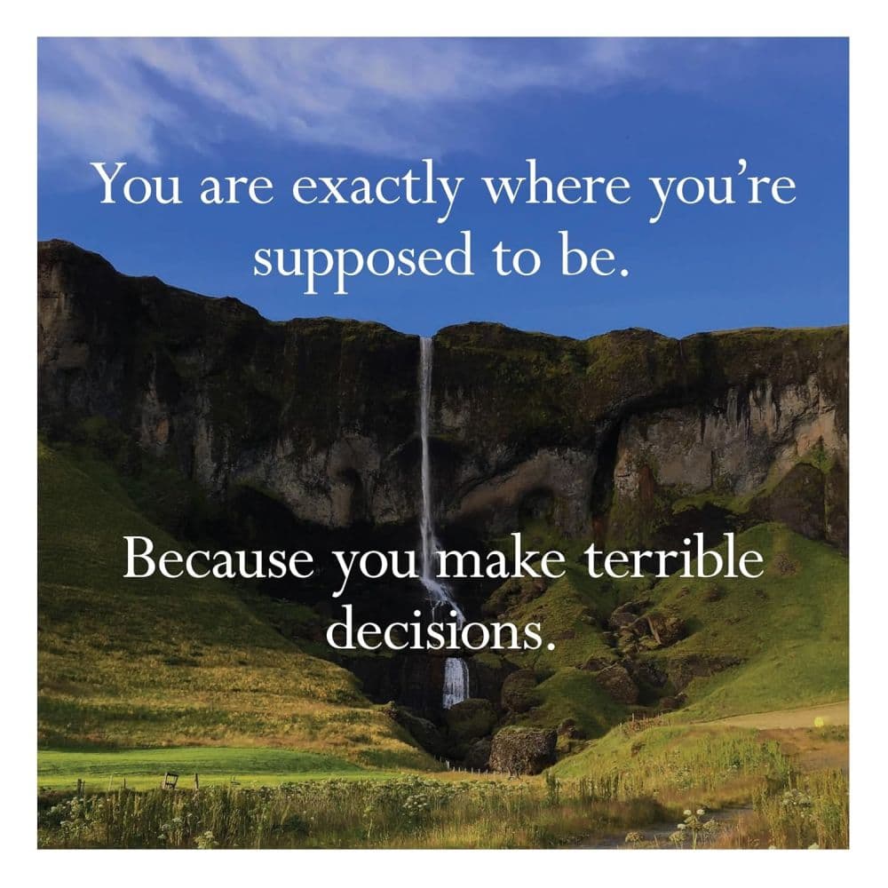 Disappointing Affirmations 2027 Wall Calendar Sixth Alternate Image