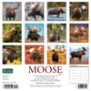 image Just Moose 2024 Wall Calendar Alternate Image 1