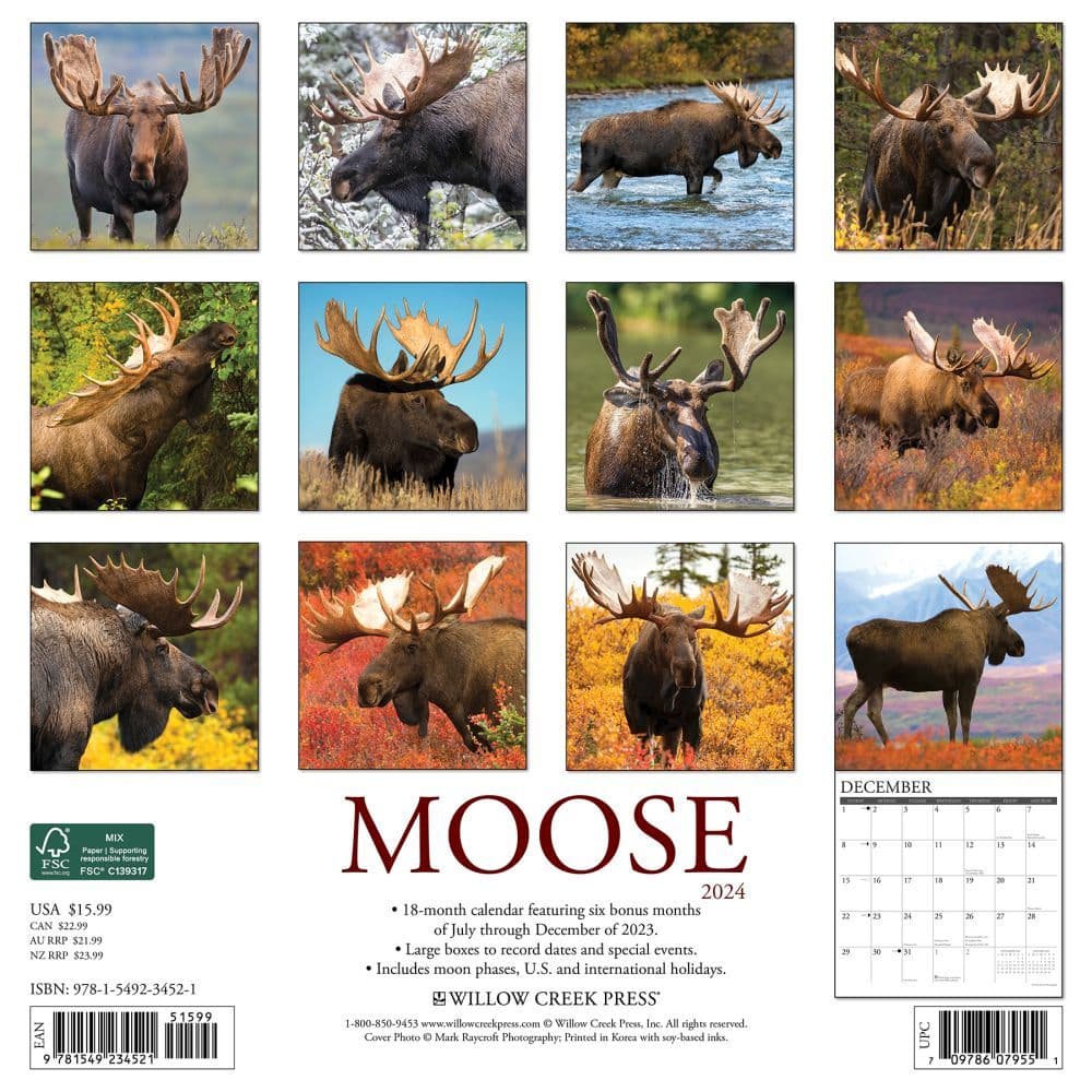 Just Moose 2024 Wall Calendar Alternate Image 1