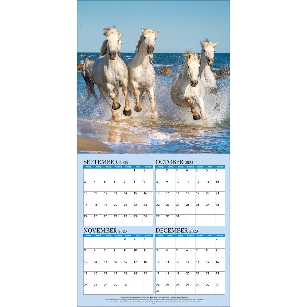 Horses 2024 Mini Wall Calendar Second Alternate Image width=&quot;1000&quot; height=&quot;1000&quot;