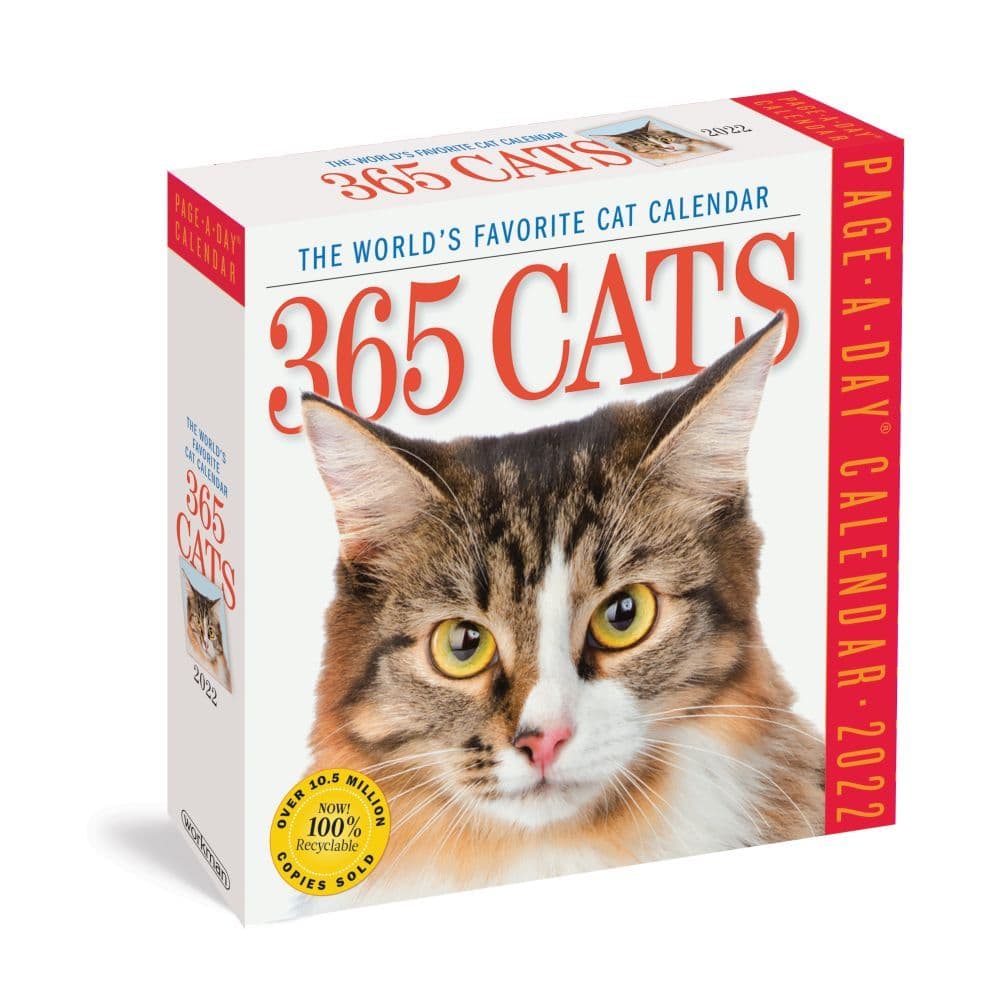 365 Page A Day Cat Calendar 2024 New Ultimate Most Popular Incredible ...