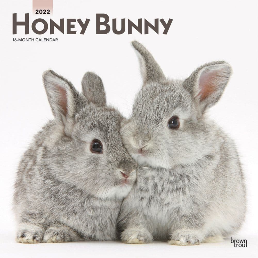 Honey Bunny 2022 Wall Calendar