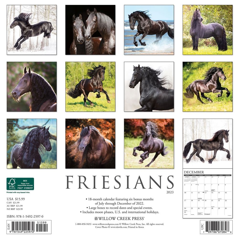 Horses Friesians 2023 Wall Calendar - Calendars.com