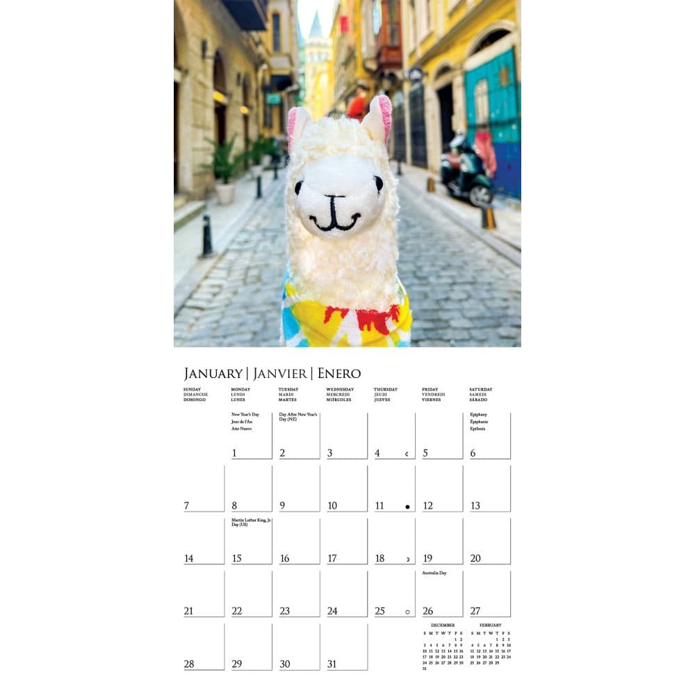Llama with No Drama 2024 Mini Wall Calendar