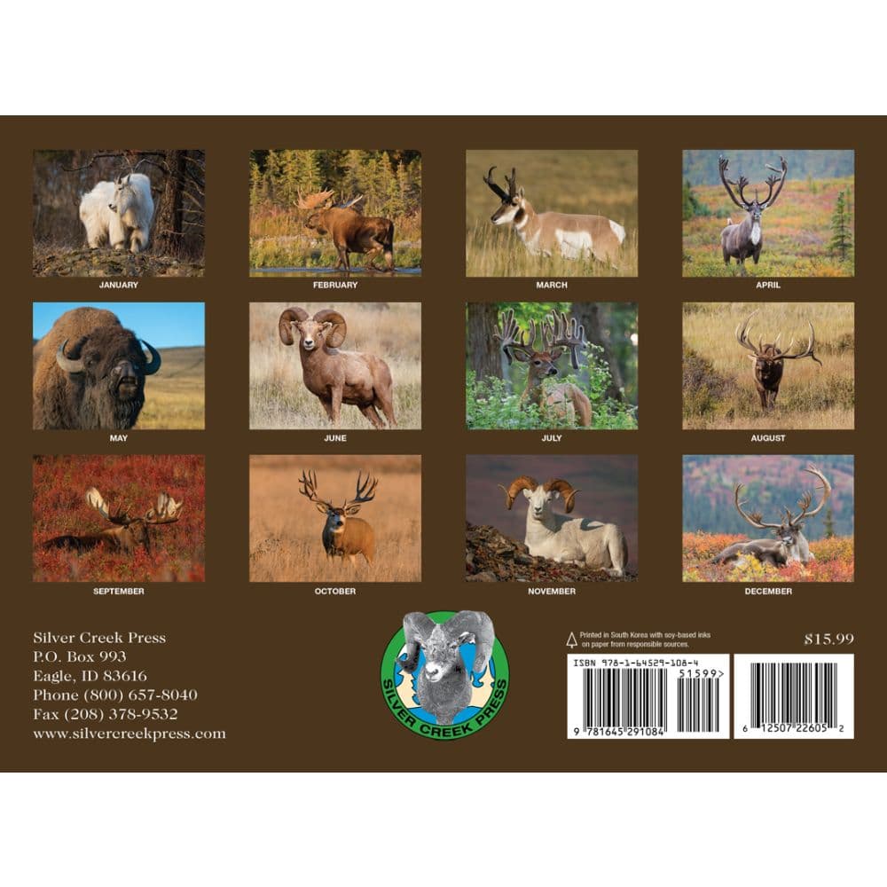 Trophy Antlers and Horns 2026 Wall Calendar First Alternate Image