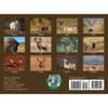 image Trophy Antlers and Horns 2026 Wall Calendar First Alternate Image