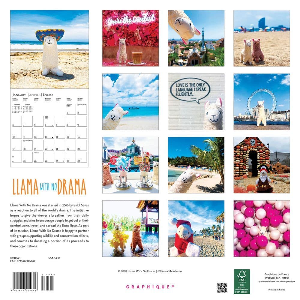 16-Month 2021 Calendar CY00521 Graphique Llama With No Drama Wall Calendar
