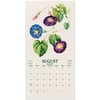 image Botany Flowers 2027 Wall Calendar Second Alternate Image