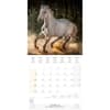 image Magic Horses 2025 Wall Calendar Fourth Alternate Image width="1000" height="1000"