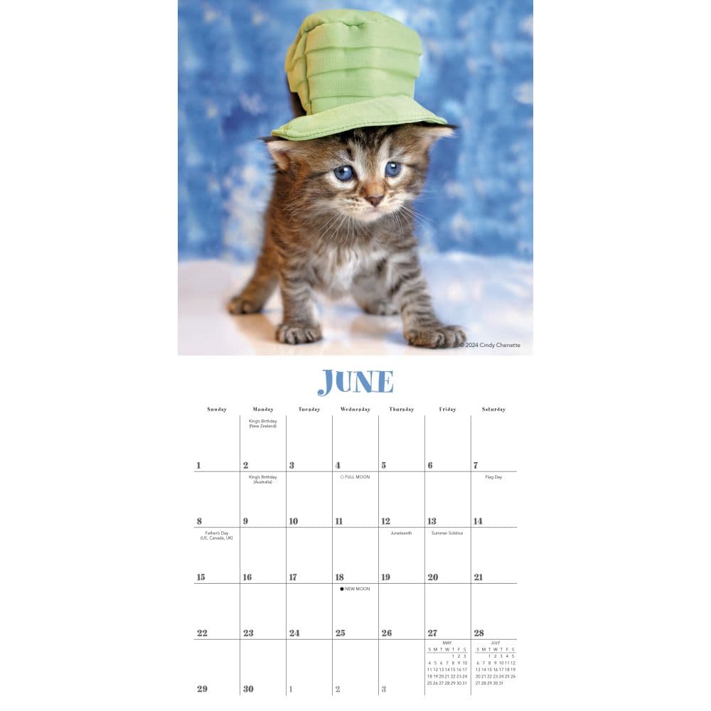 Cats in Hats 2025 Mini Wall Calendar Second Alternate Image width=&quot;1000&quot; height=&quot;1000&quot;
