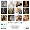 image Just Maine Coon Cats 2025 Wall Calendar