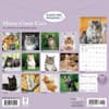 image Maine Coon Cats 2026 Wall Calendar First Alternate Image