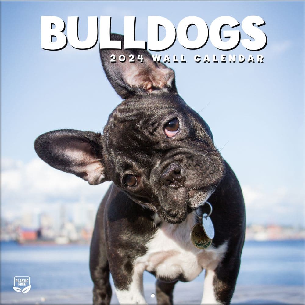 Bulldogs 2024 Wall Calendar