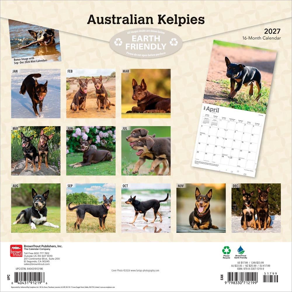 Australian Kelpies 2027 Wall Calendar First Alternate Image