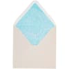 image Starfish and Seashells Blank Card Second Alternate Image width=&quot;1000&quot; height=&quot;1000&quot;