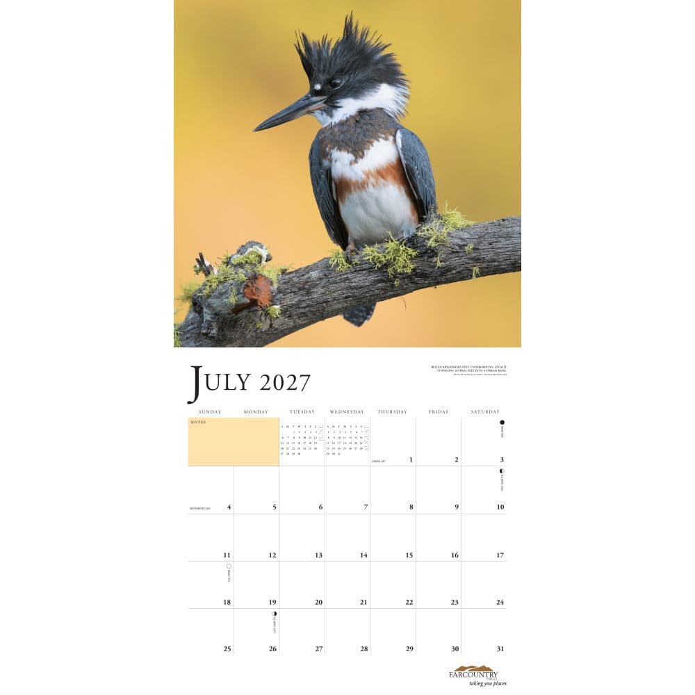 Rocky Mountain Birds 2027 Wall Calendar Second Alternate Image