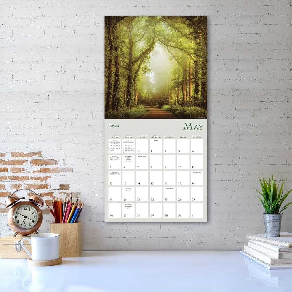 Enchanted Pathways 2025 Wall Calendar