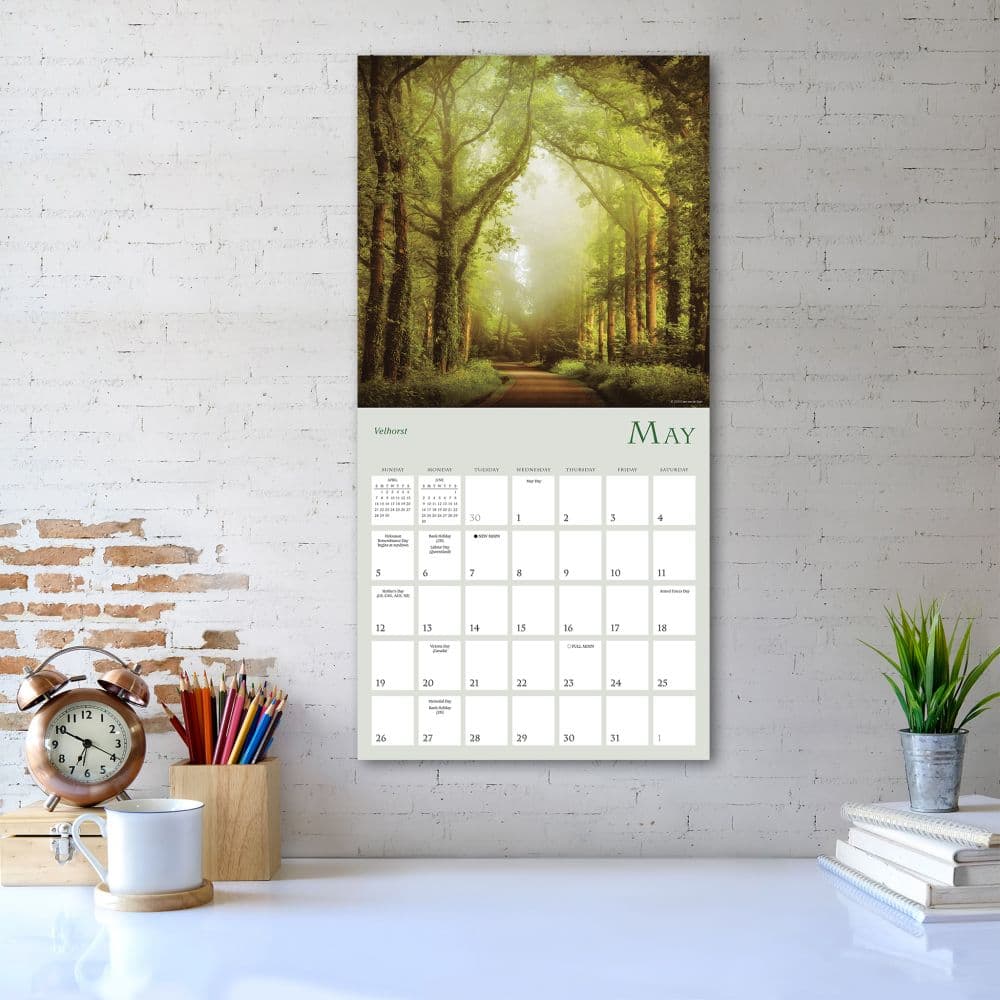 Enchanted Pathways 2024 Wall Calendar