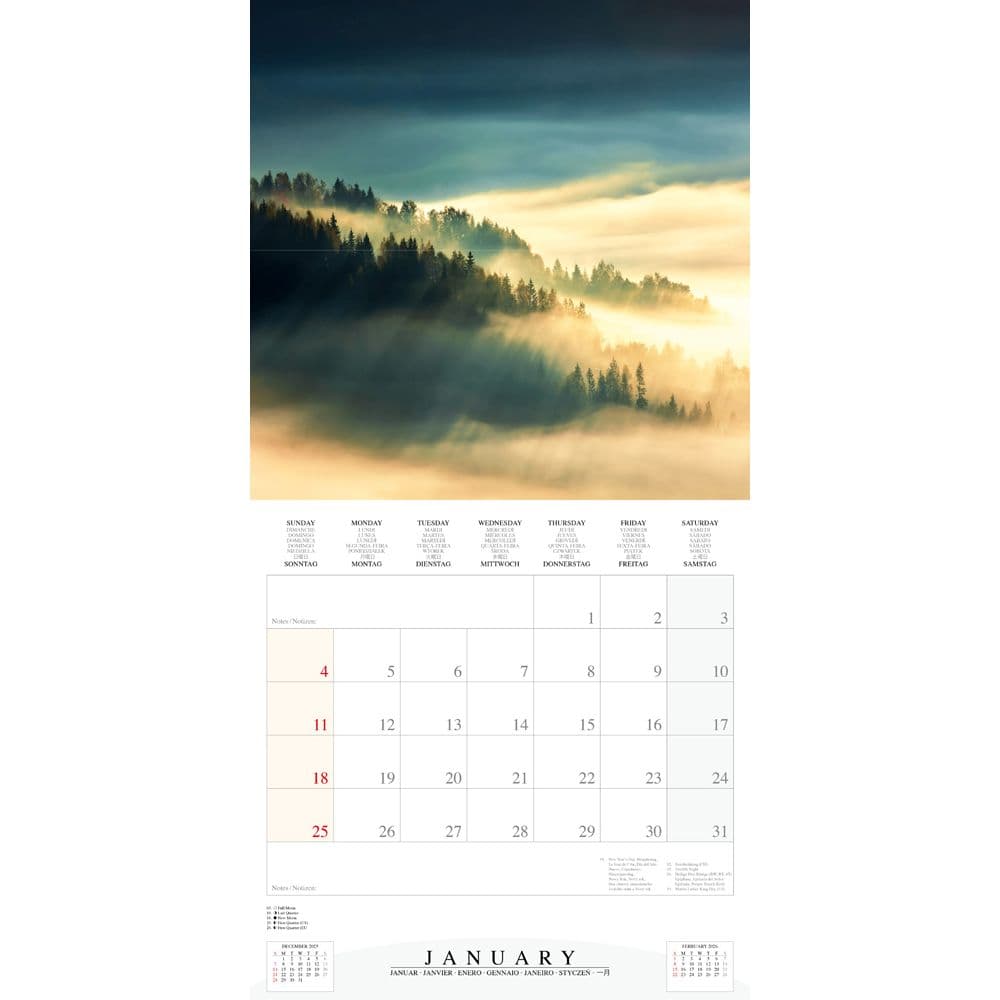 Deep Forest 2026 Wall Calendar Second Alternate Image