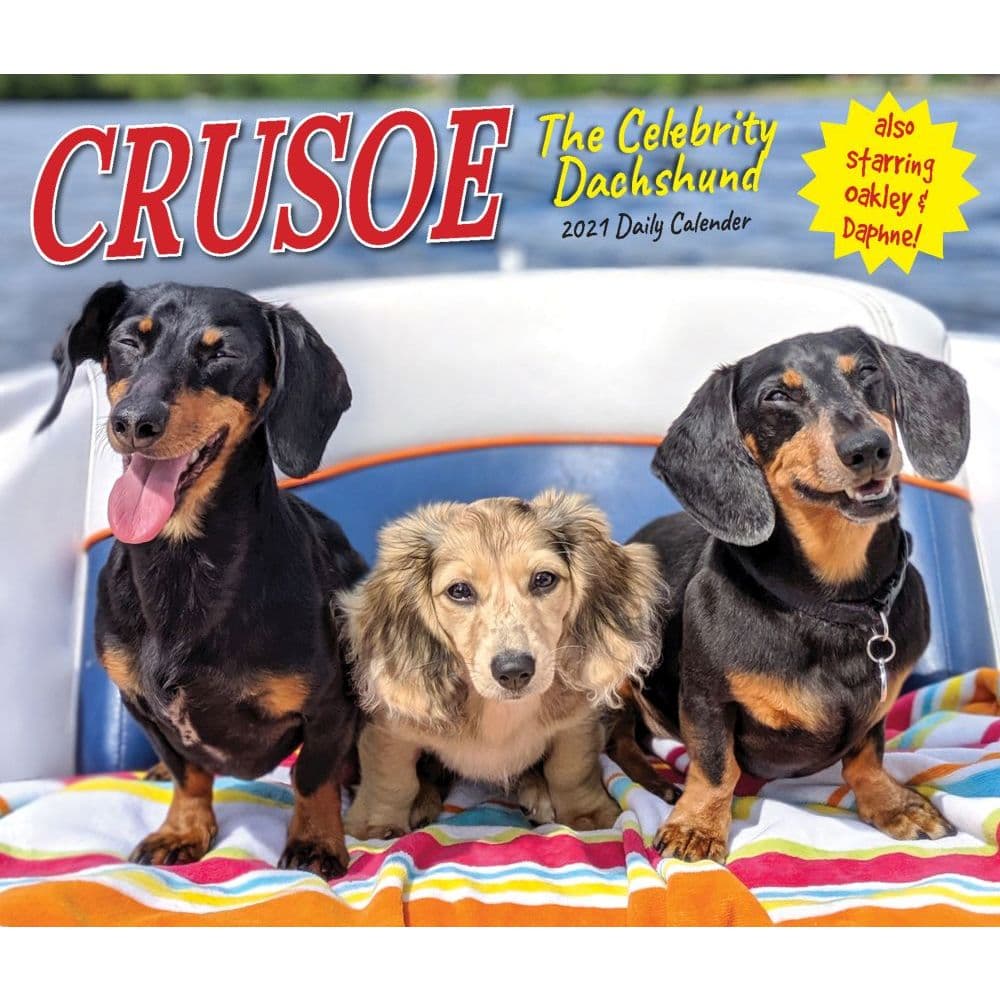 Crusoe the Celebrity Dachshund Desk Calendar - Calendars.com