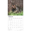 image Miniature Dachshunds 2025 Wall Calendar Second Alternate Image