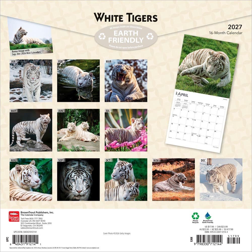 White Tigers 2027 Wall Calendar First Alternate Image