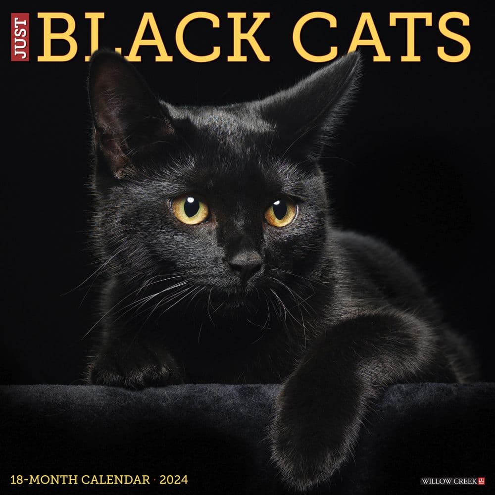 Just Black Cats 2024 Wall Calendar Calendars Com   0e46cc89 7844 4e9b Be65 2854e3f0fd08