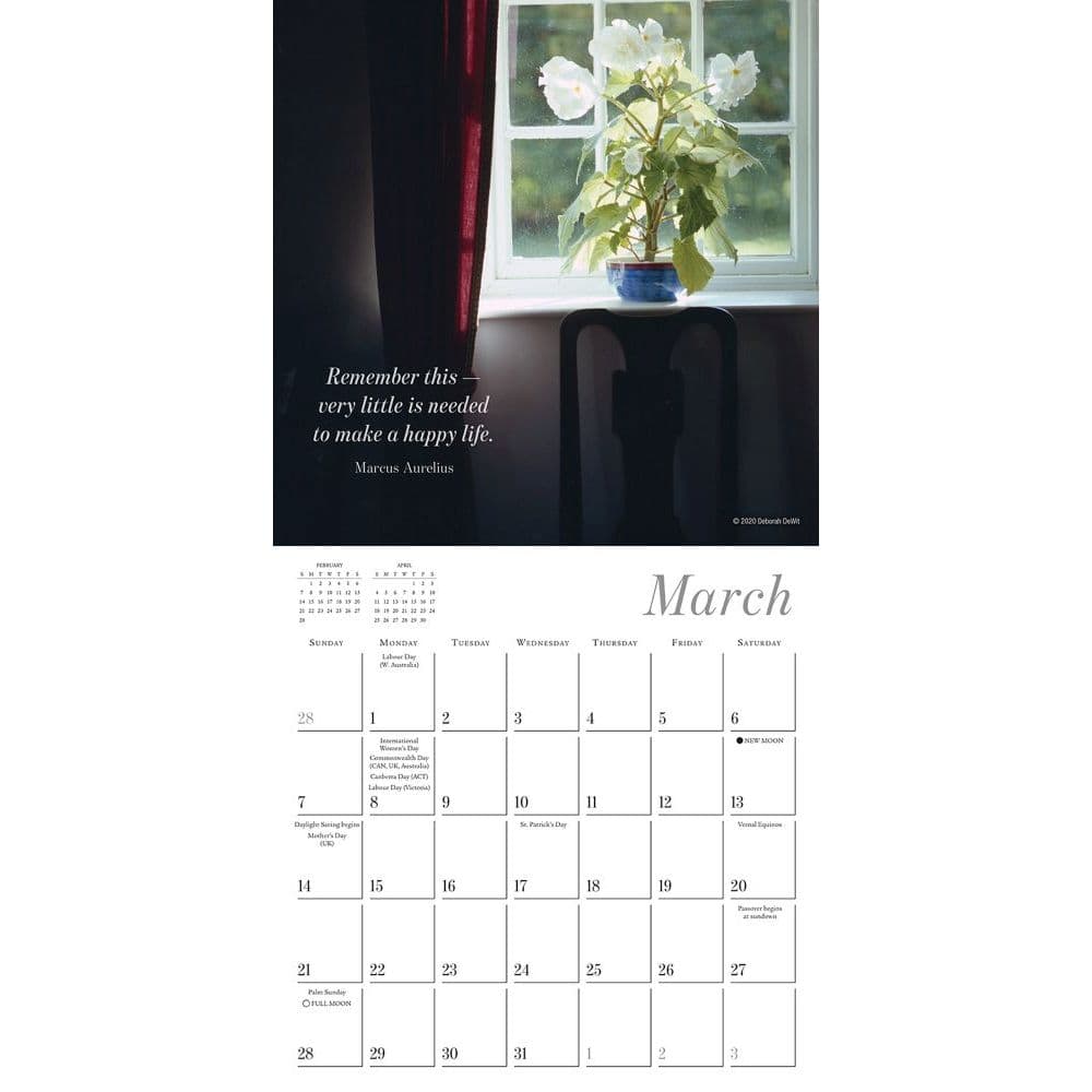 Simplicity Mini Wall Calendar - Calendars.com