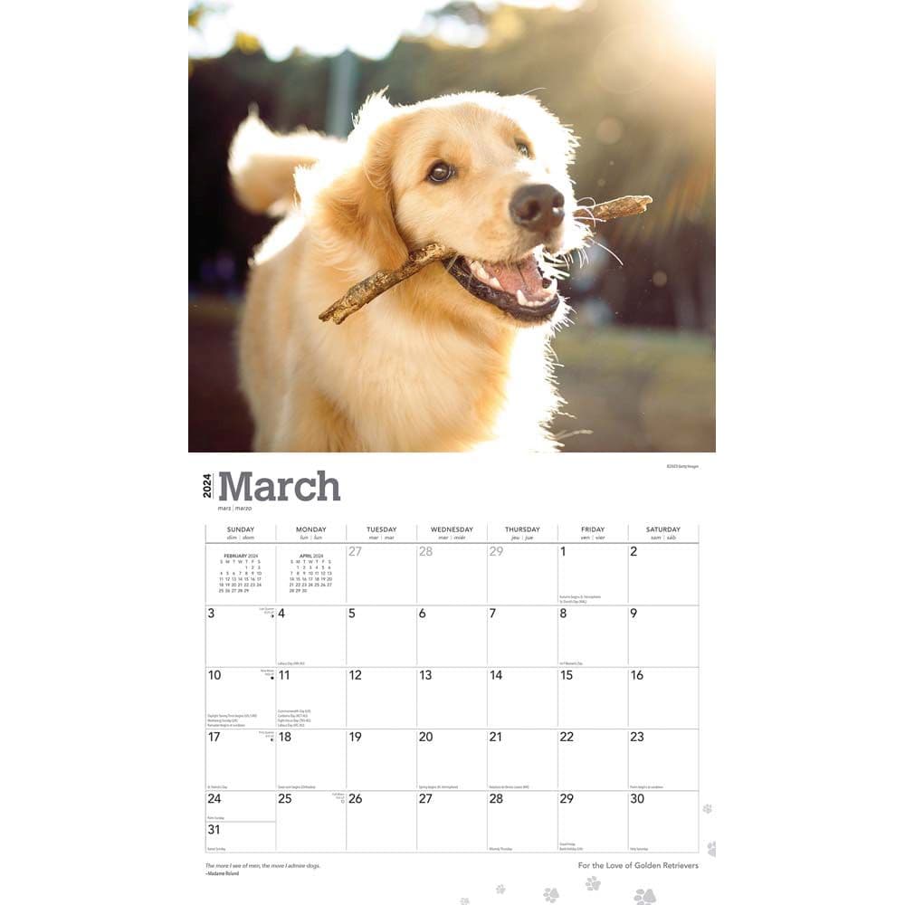 Golden Retrievers Deluxe 2024 Wall Calendar