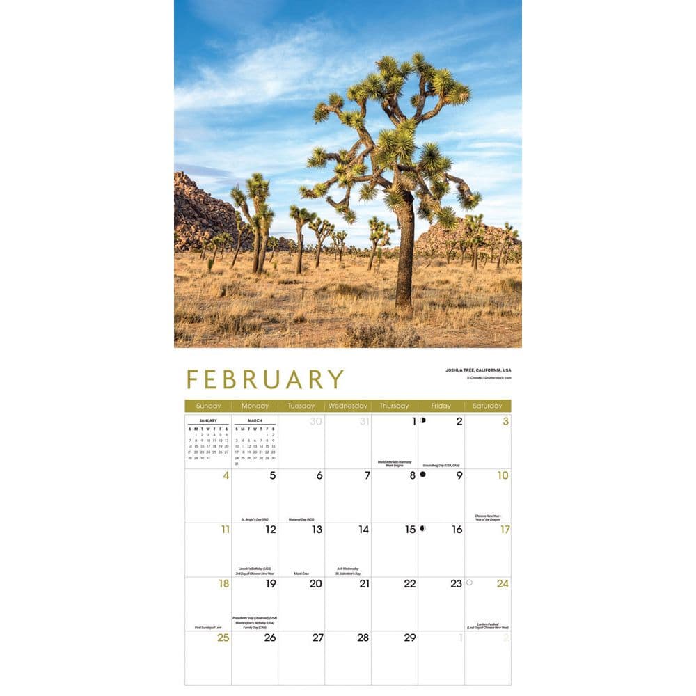 Trees 2024 Wall Calendar Calendars Com   0e55ca1f D9bf 4cbc 8f75 4102bcc132cf