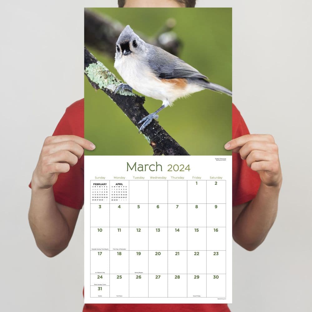 Backyard Birds 2024 Wall Calendar