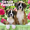 image Just Boxer Puppies 2024 Wall Calendar Main Image